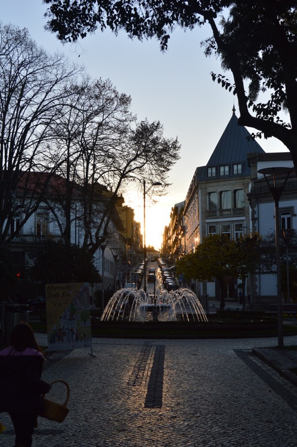 Lugar Jardim Tomás Ribeiro