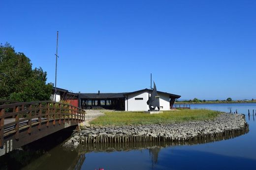 Praia do Areínho