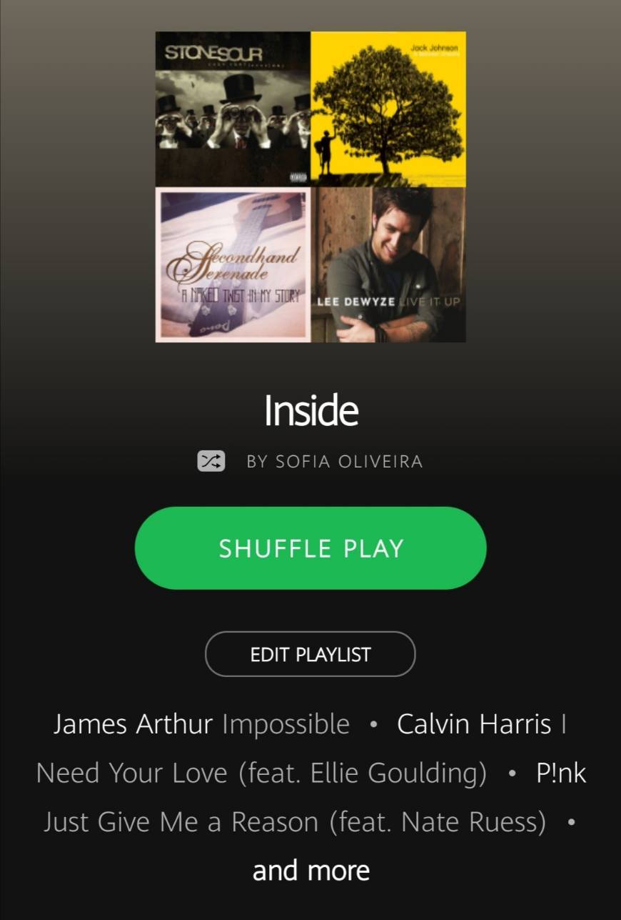 Music Inside Playlist 