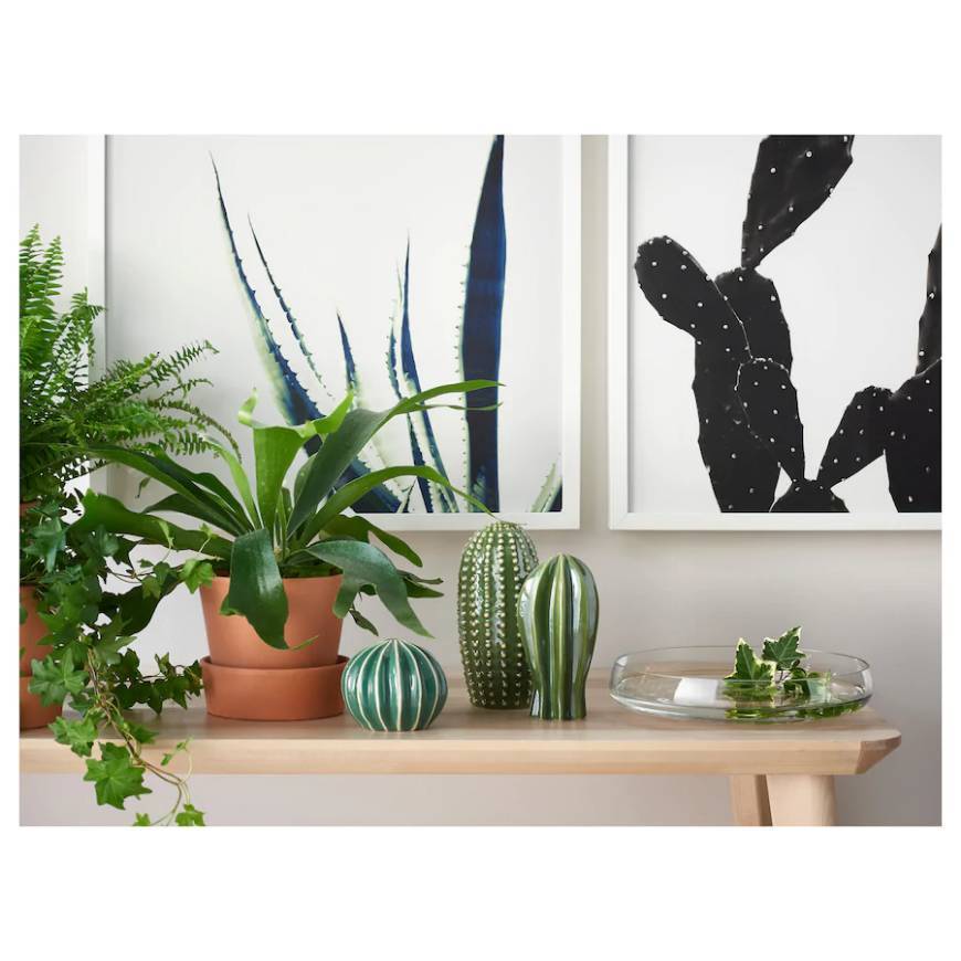 Social Cactos IKEA 