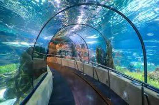 Aquarium de Barcelona Barcelona