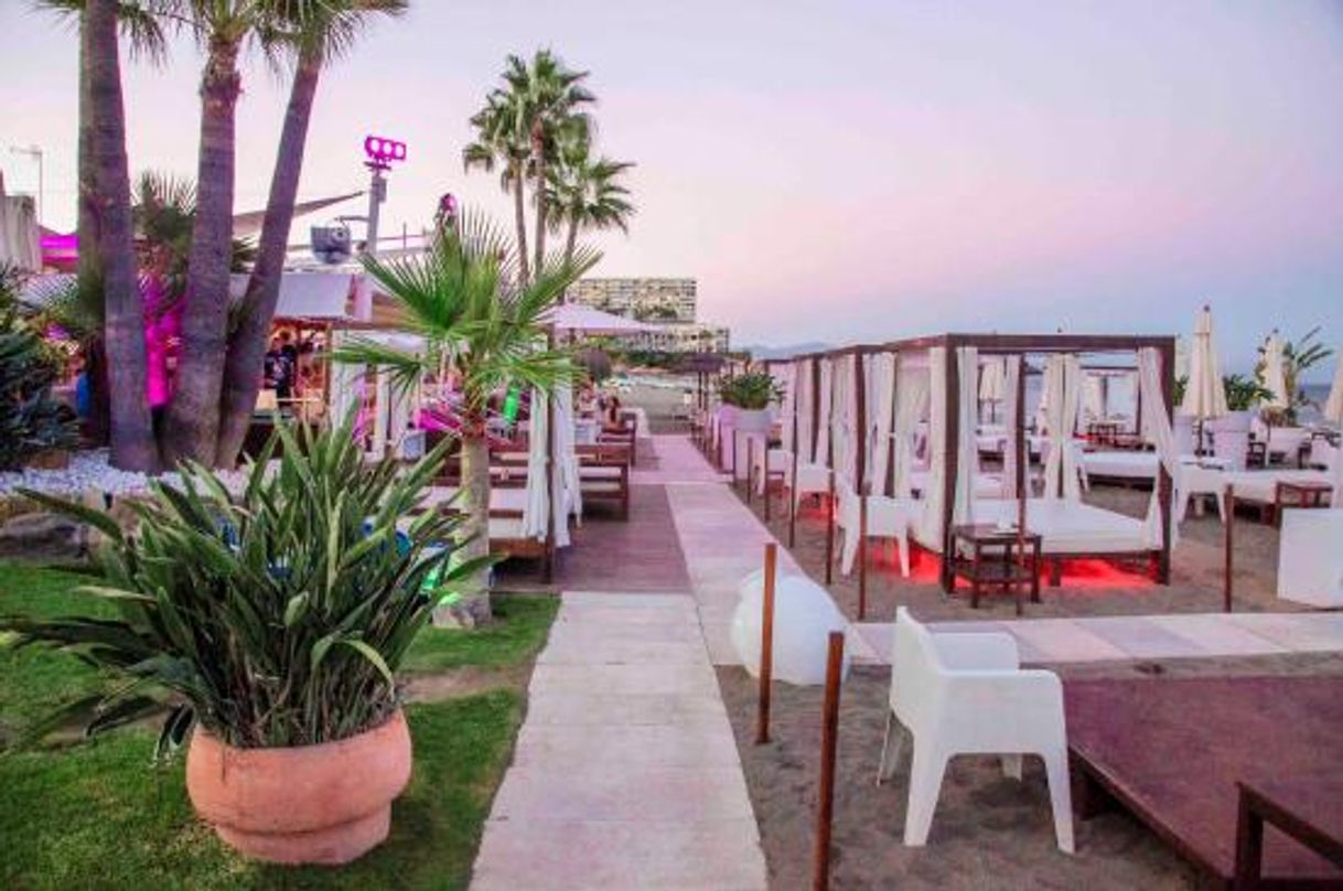 Restaurants Playa Miguel Beach Club