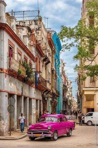 Havana