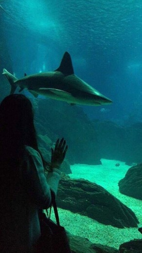 Oceanario de Lisboa