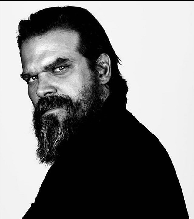actors - David Harbor 