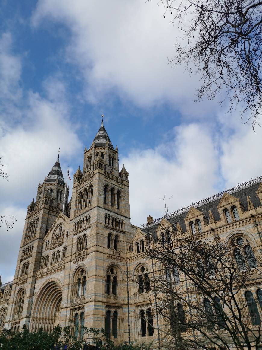 Place Natural History Museum