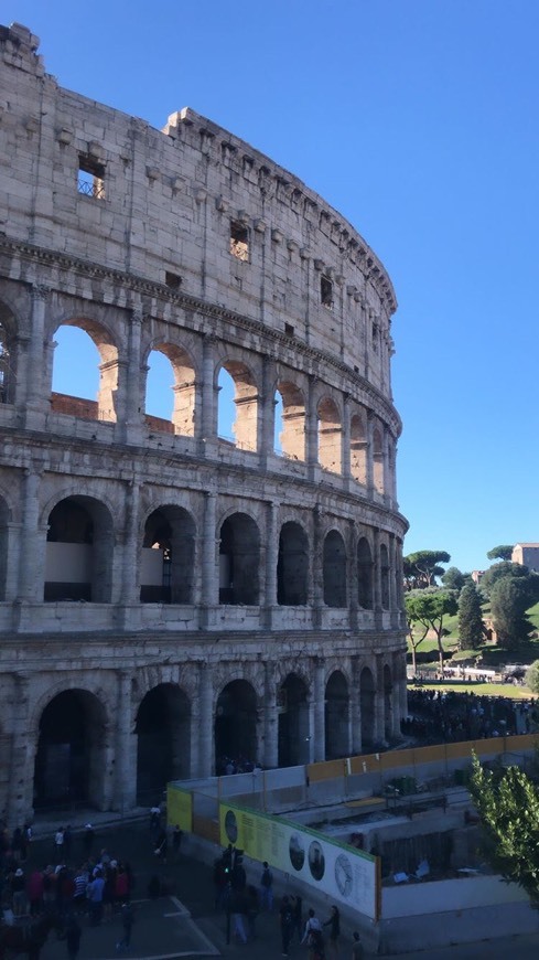 Lugar Coliseo de Roma