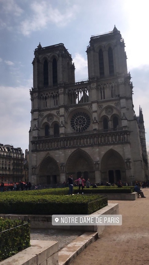 Lugar Catedral de Notre Dame