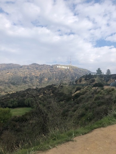 Hollywood Sign