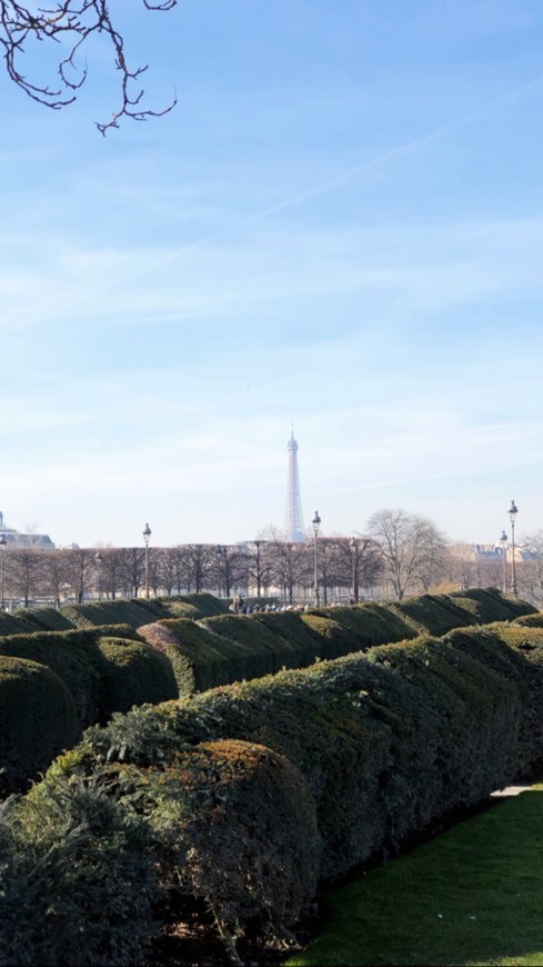 Place París