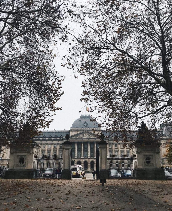 Place Palace of Brussels