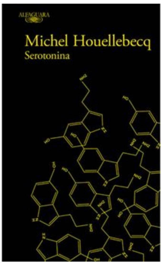 Book Serotonina