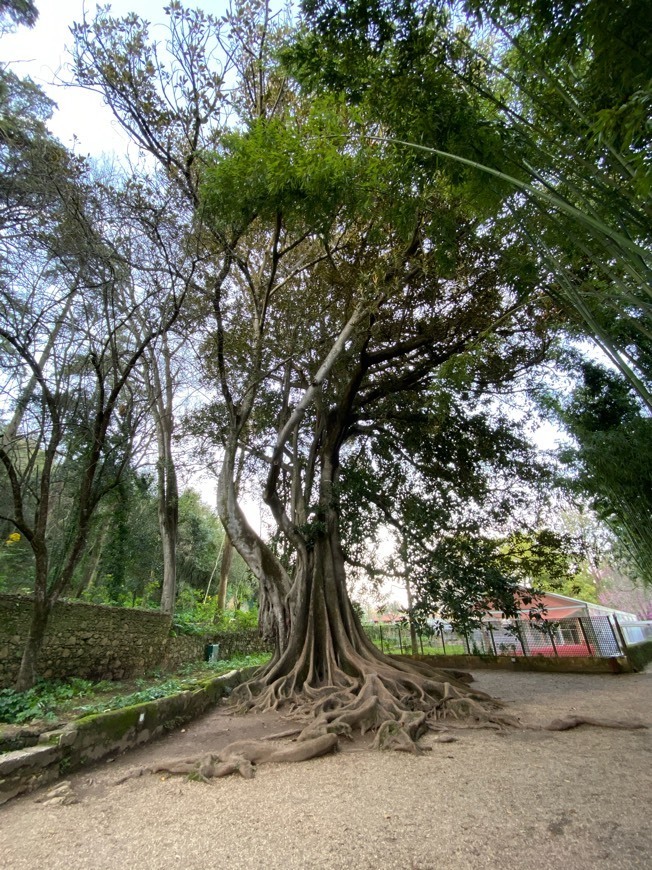 Place Jardins da Quinta das Lágrimas