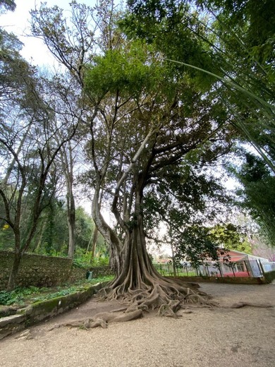 Jardins da Quinta das Lágrimas