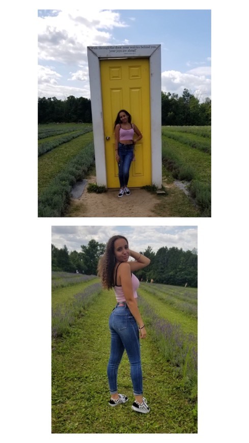 Places Terre Bleu Lavender Farm