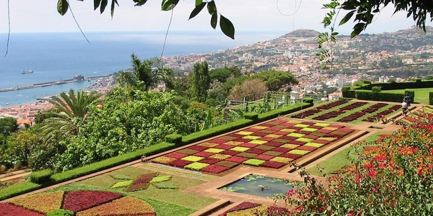 Place Jardín Botánico de Madeira