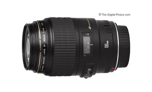 Canon EF 100mm f/2.8 USM Macro Lens 