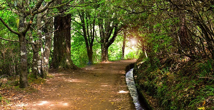 Lugar PR9 Levada do Caldeirão Verde