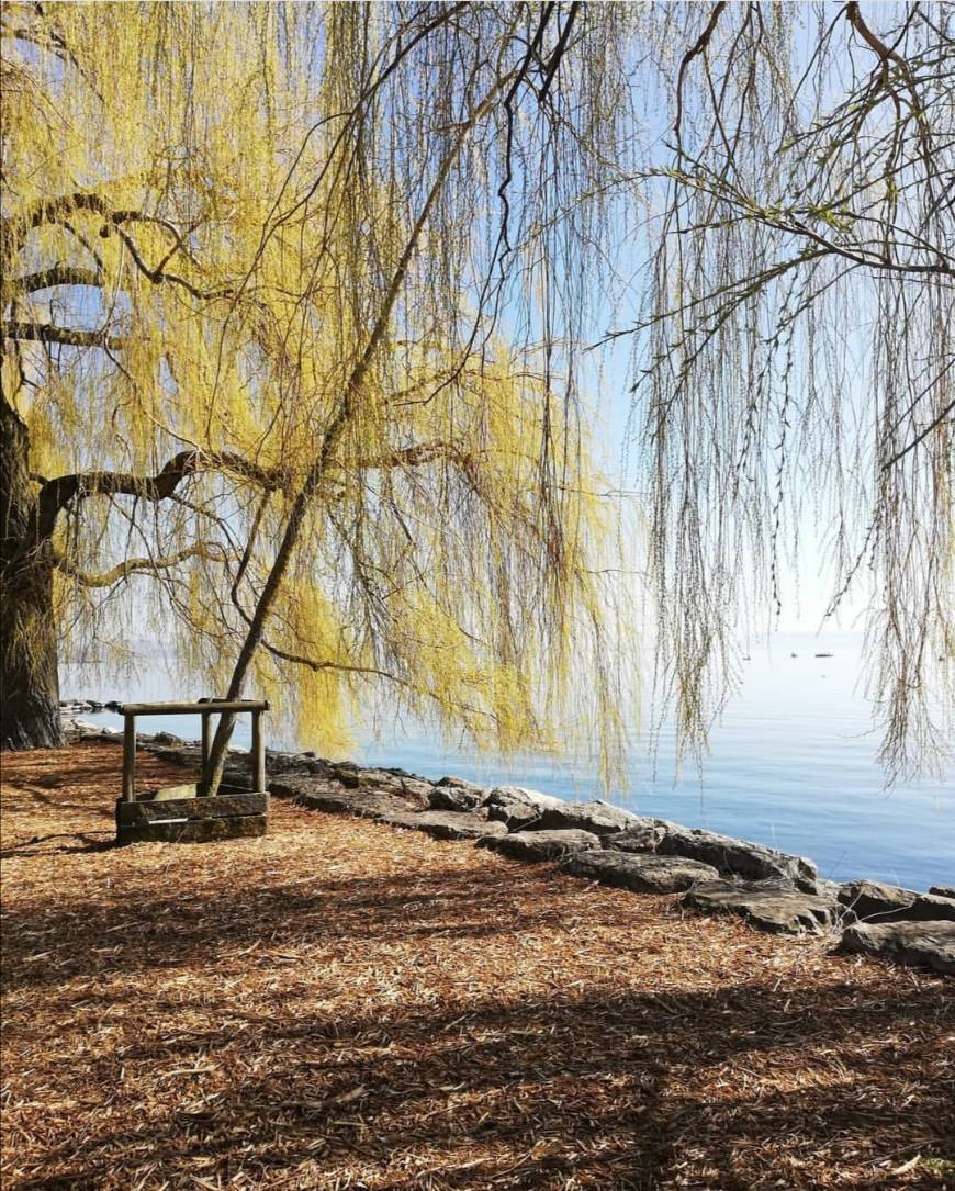 Lugar Lac de Neuchâtel