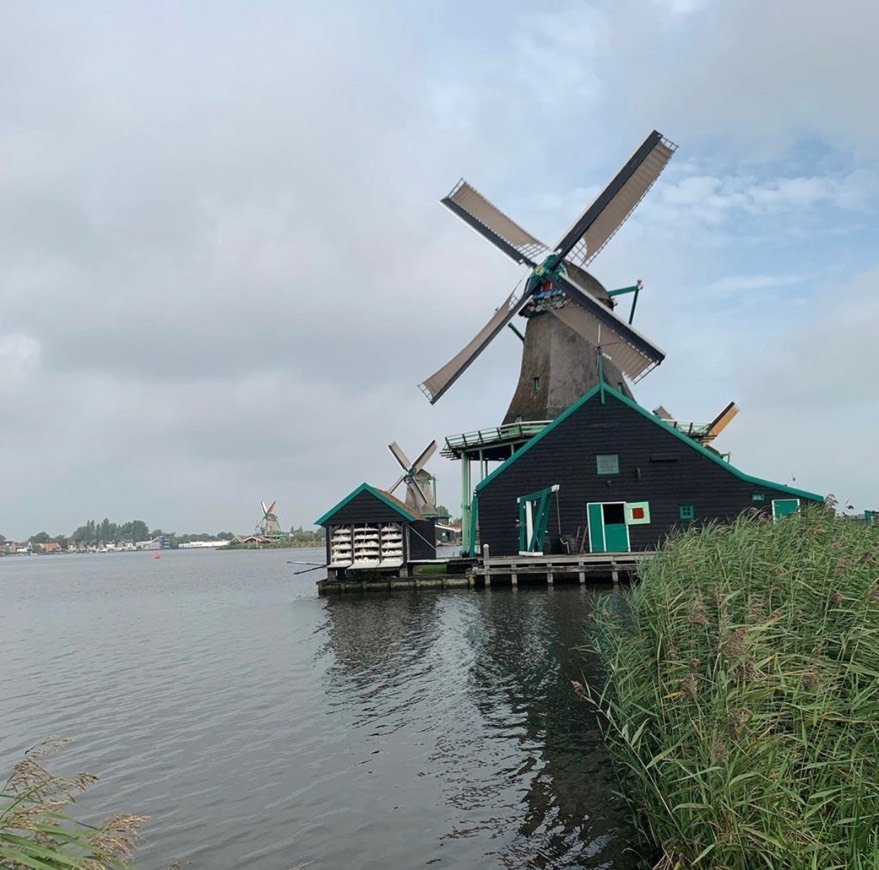 Place Zaanse Schans 