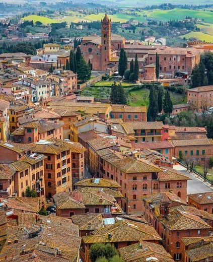 Siena