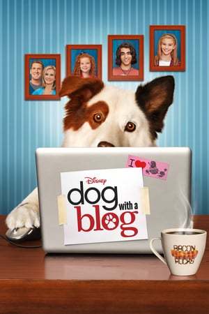 Stan, o Cão Blogueiro