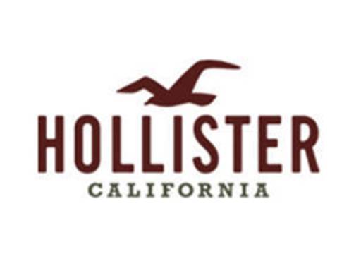 Social HOLLISTER