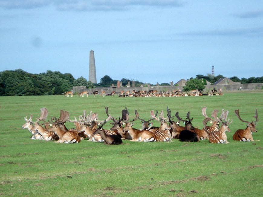 Lugar Phoenix Park