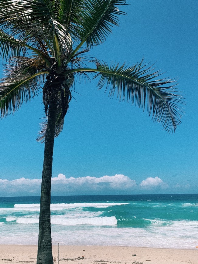 Lugar Praia da Barra da Tijuca