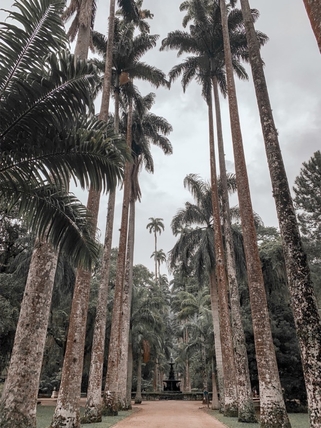 Place Jardim Botânico