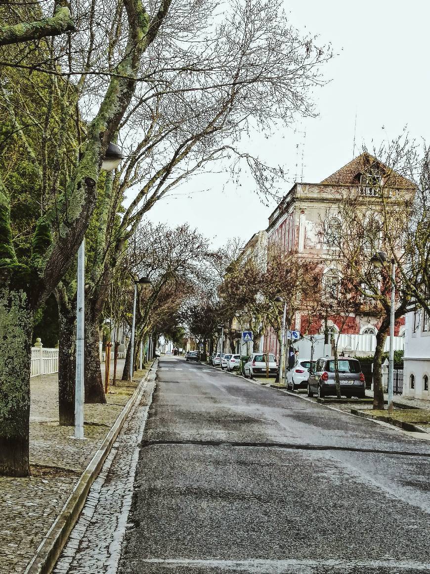 Place Santarém