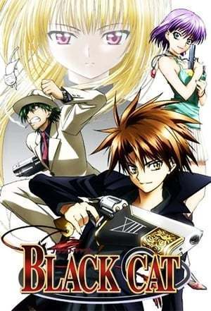 Serie Black Cat Detective