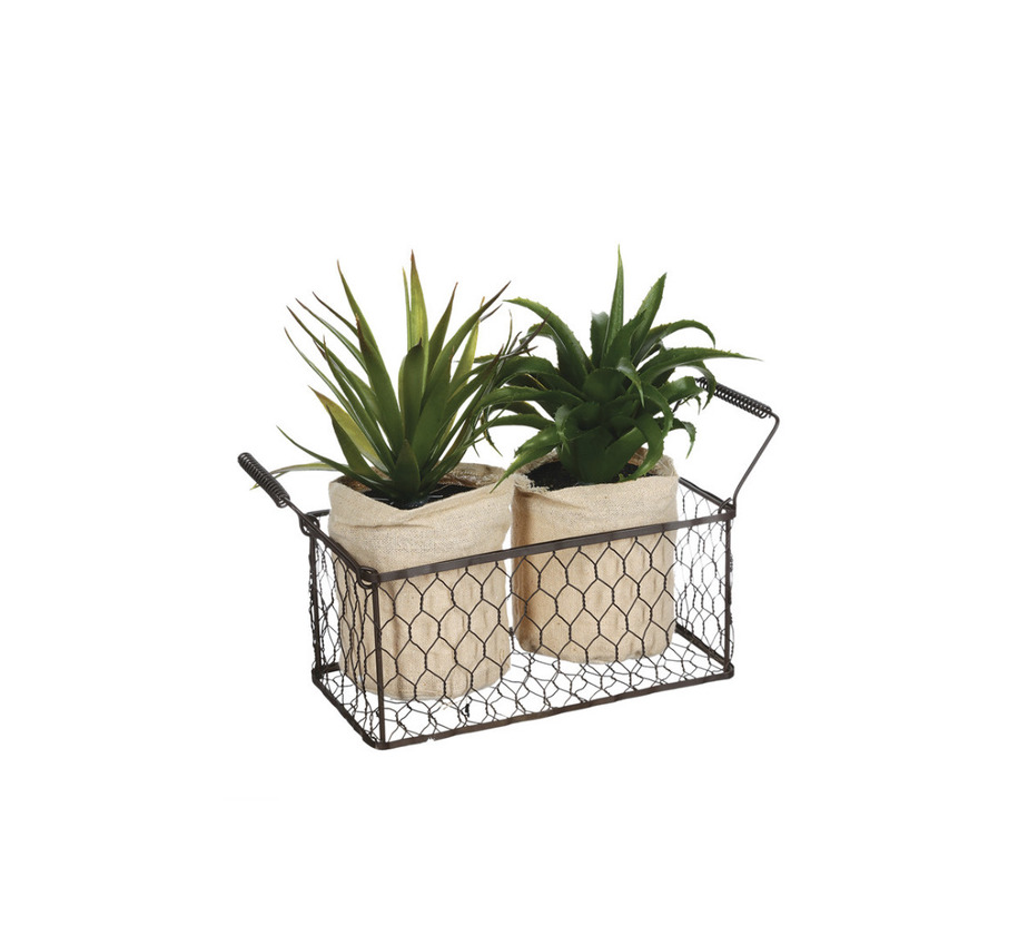 Social CESTO METAL C/ 2 VASOS ALOE VERA