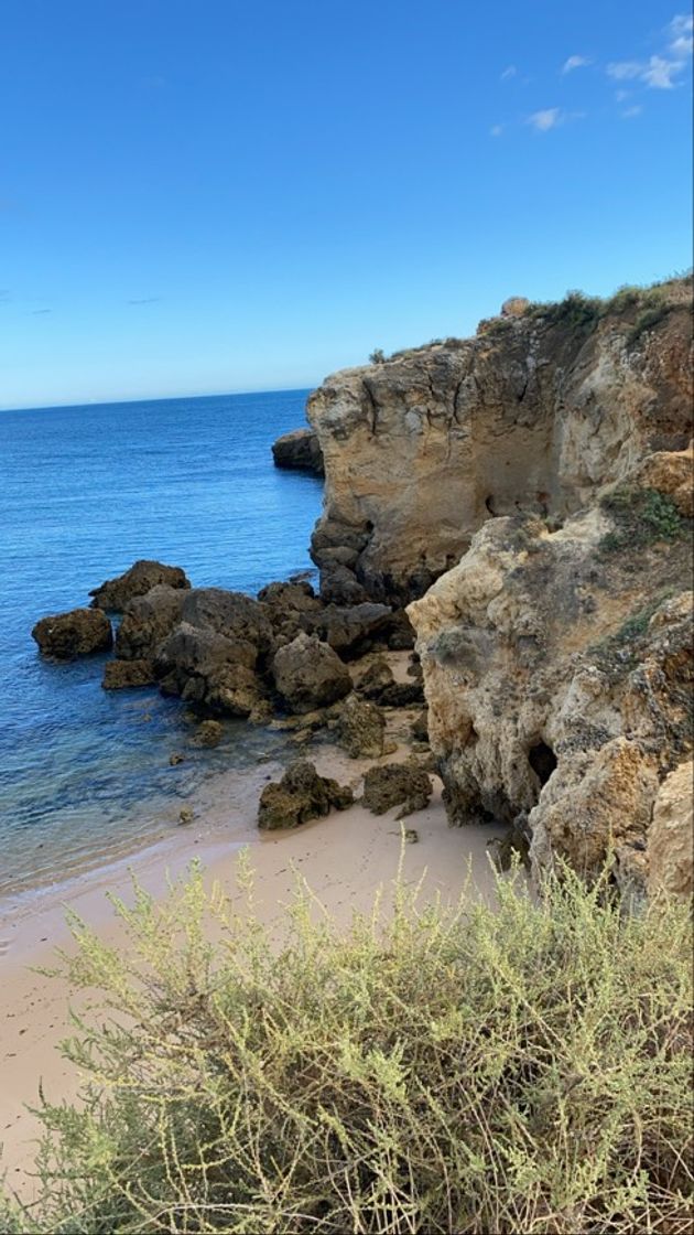 Praia dos Arrifes