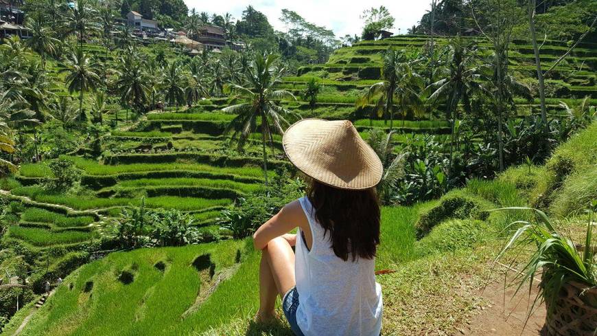 Lugar Tegallalang Rice Terrace