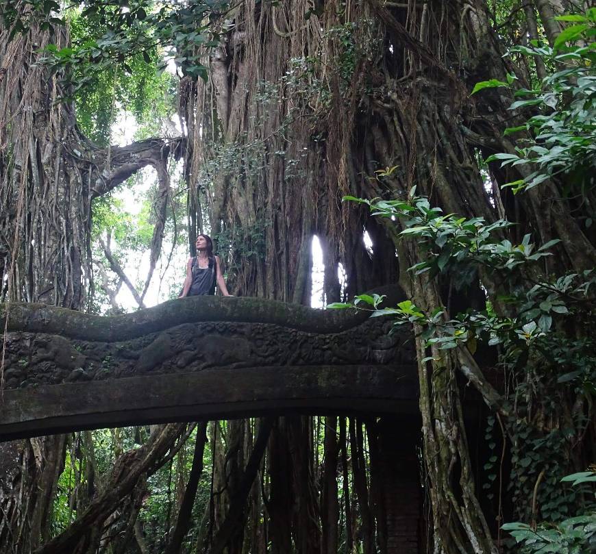 Lugar Sacred Monkey Forest Sanctuary