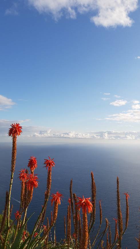 Place Arco da Calheta