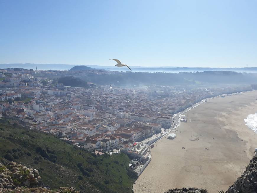 Place Sítio da Nazaré