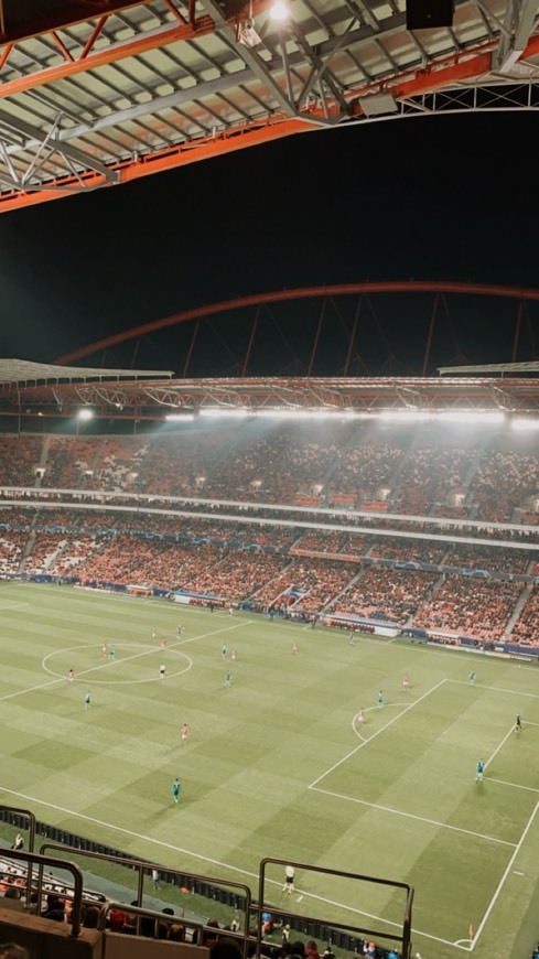 Place Estádio Sport Lisboa e Benfica