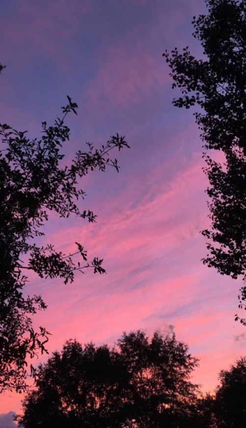 Wallpaper