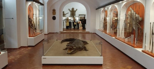 Museu da Caça