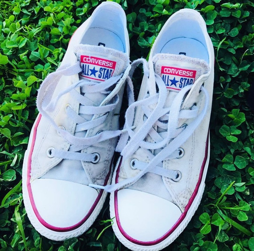 Social Converse Chuck Taylor All Star Season Ox