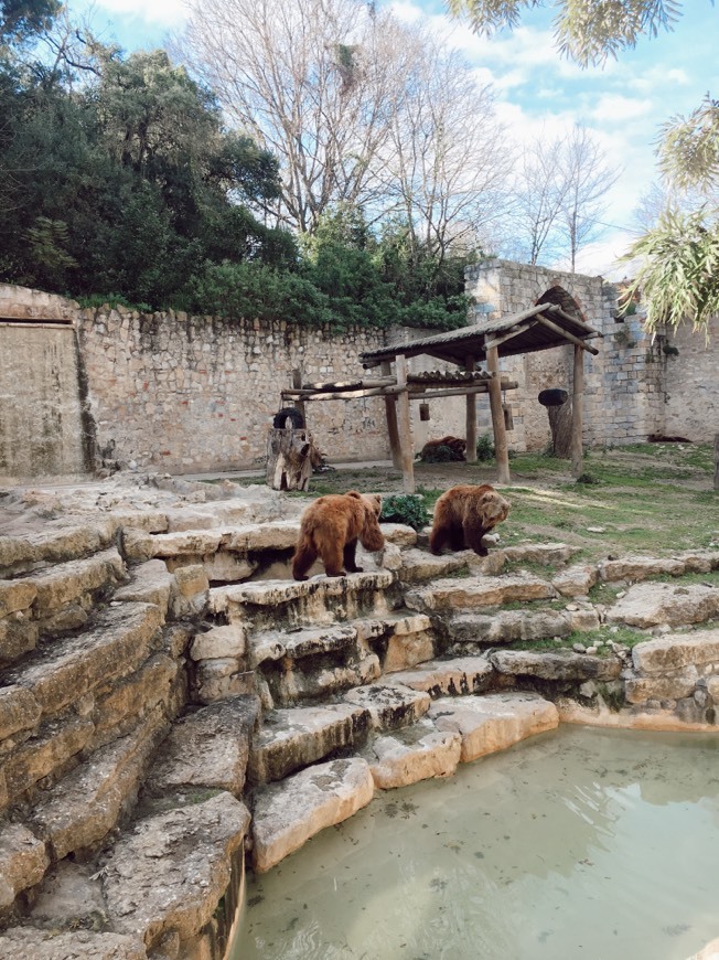 Place Jardim Zoológico de Lisboa