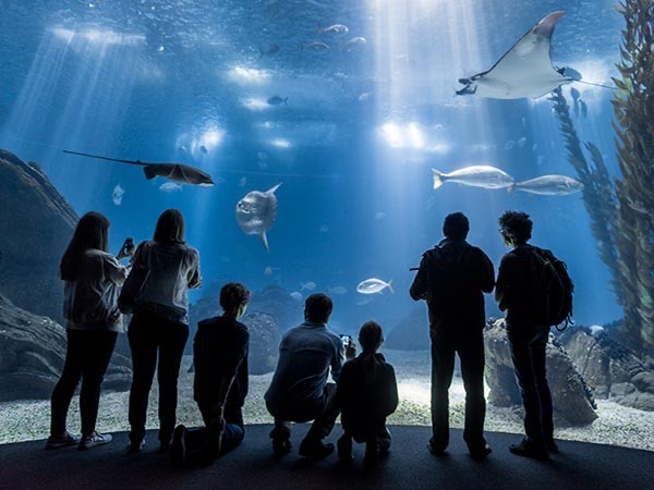 Place Oceanário de Lisboa