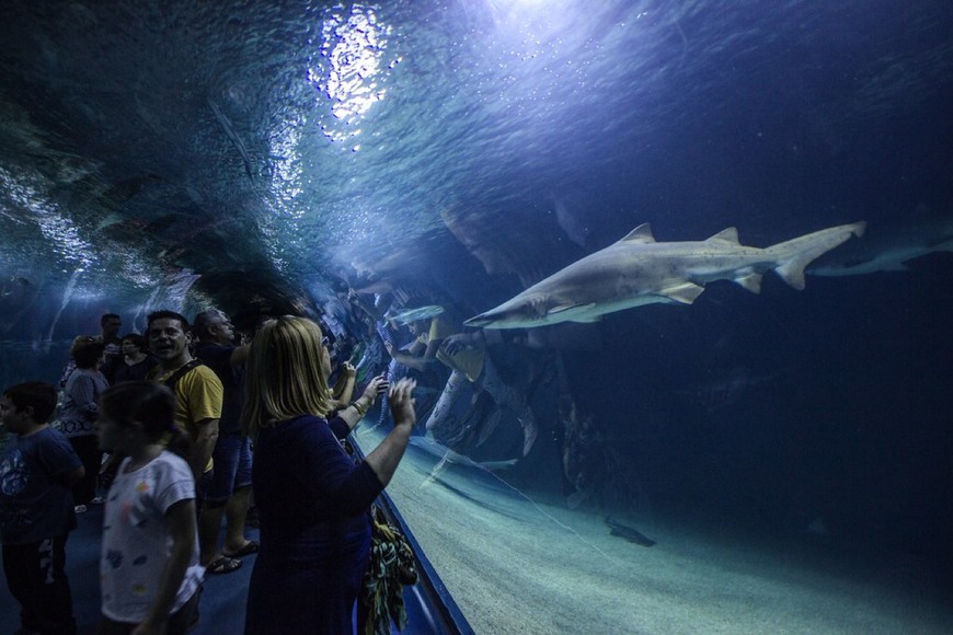 Lugar Oceanário Valencia - cidade das artes e das ciências