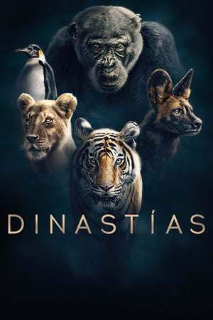 Serie Entre Dinastías: La Nueva Era