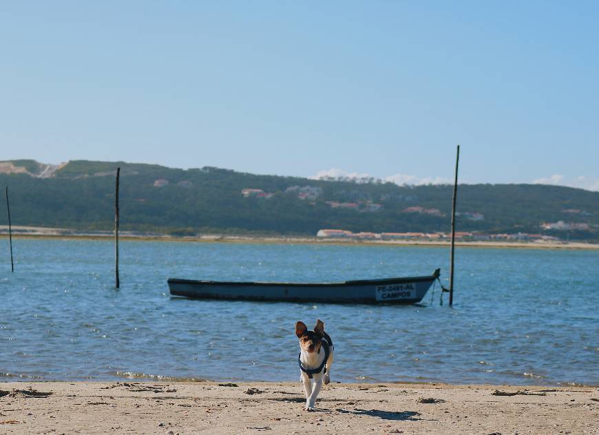 Place Foz do Arelho