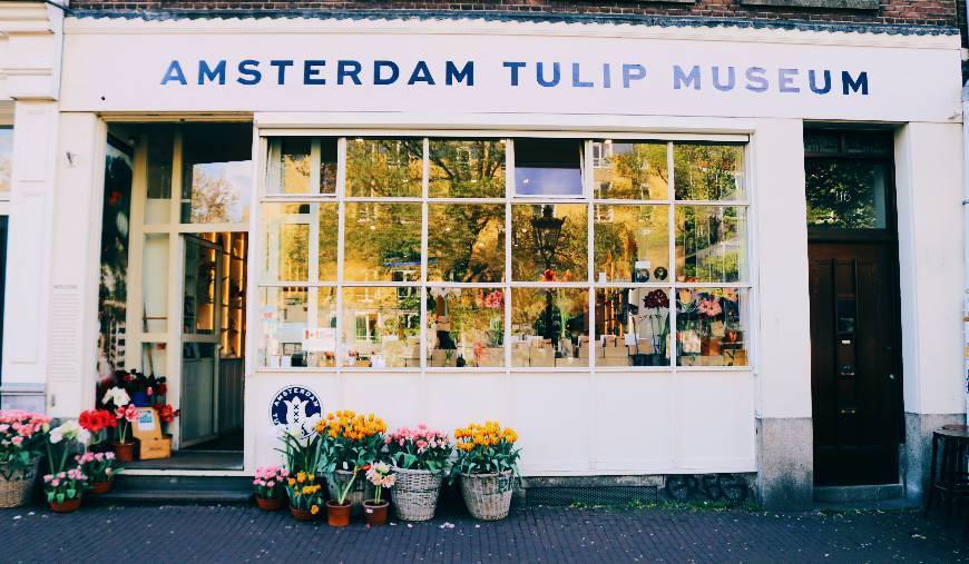 Lugar Amsterdam Tulip Museum