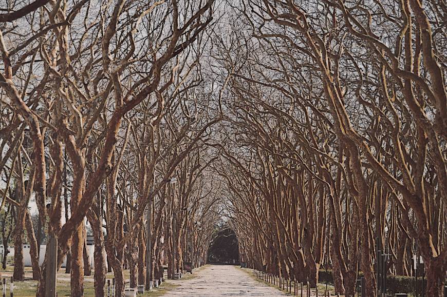 Lugar Caldas da Rainha — Santo Onofre e Serra do Bouro