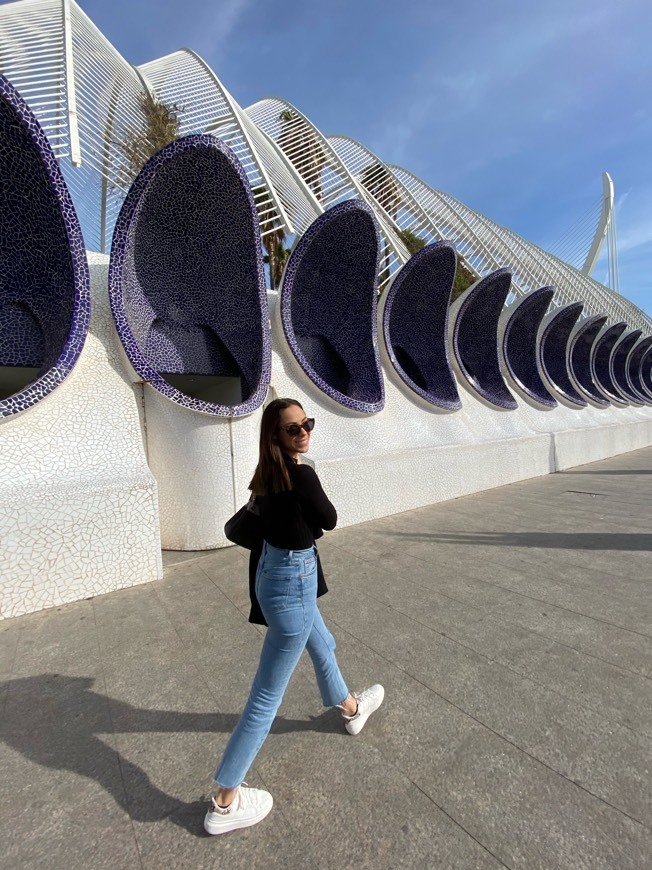 Place Ciudad de las Artes y las Ciencias